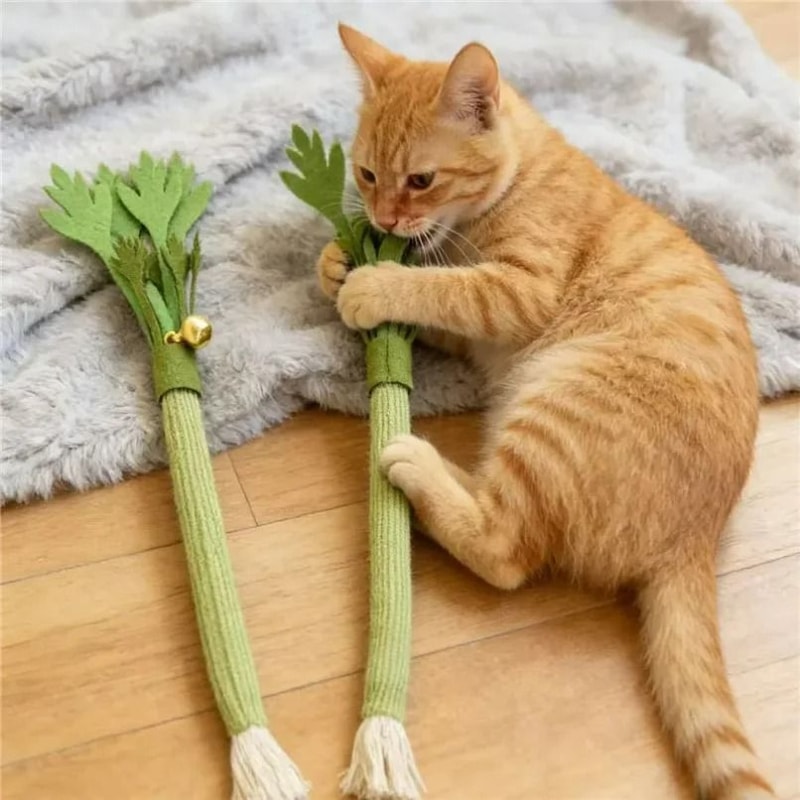 Interactive Catnip Molar Stick Dental Chew Toy 2