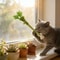 Interactive Catnip Molar Stick Dental Chew Toy 3