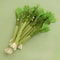 Interactive Catnip Molar Stick Dental Chew Toy 4