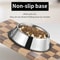 Durable Stainless Steel Daily Feeding Bowl 2