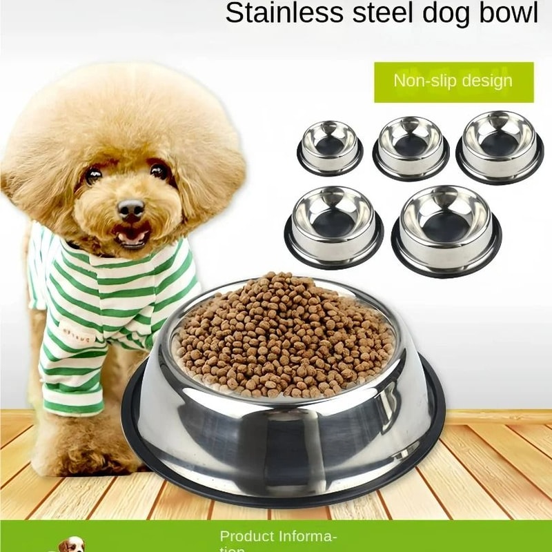 Durable Stainless Steel Daily Feeding Bowl 4