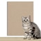 CustomFit SelfAdhesive Cat Scratching Carpet Furniture Guard 11