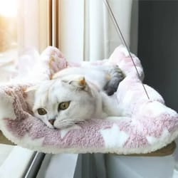 sunny window-mounted cat hammock & safety lounge