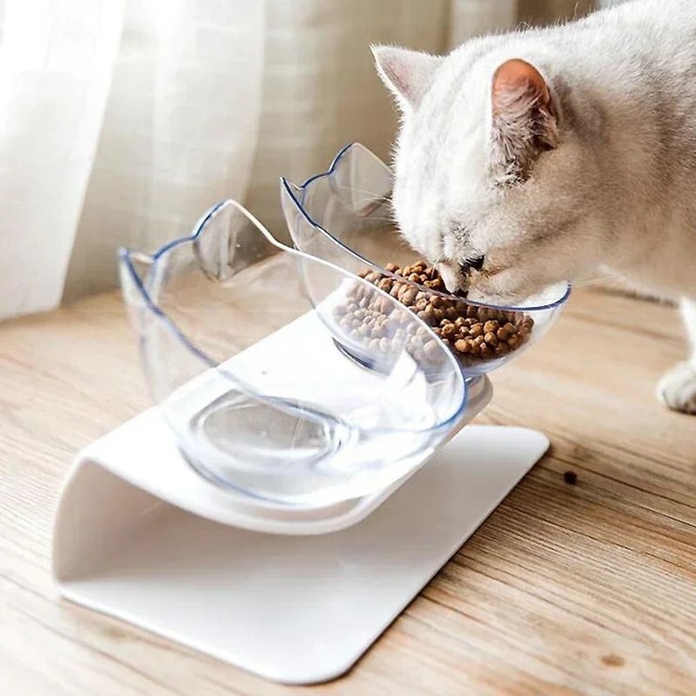 Ergonomic Double Pet Diner With NonSlip Elevation 0