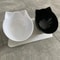 Ergonomic Double Pet Diner With NonSlip Elevation 5