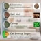 4in1 Rotating Catnip Silver Vine Dental Health Station 3