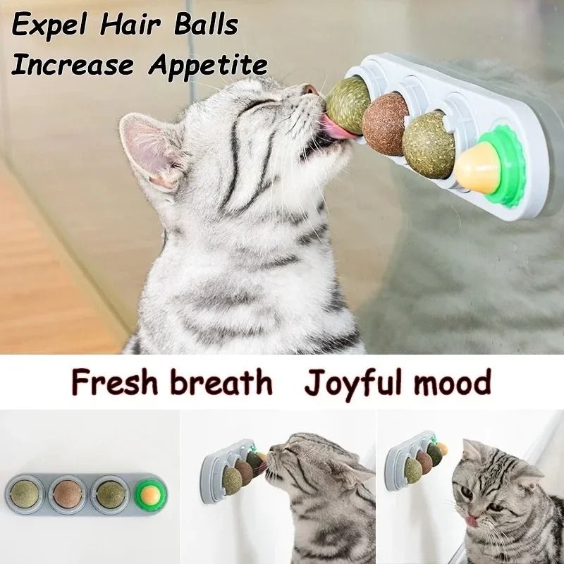 4in1 Rotating Catnip Silver Vine Dental Health Station 5