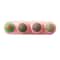 4in1 Rotating Catnip Silver Vine Dental Health Station 11