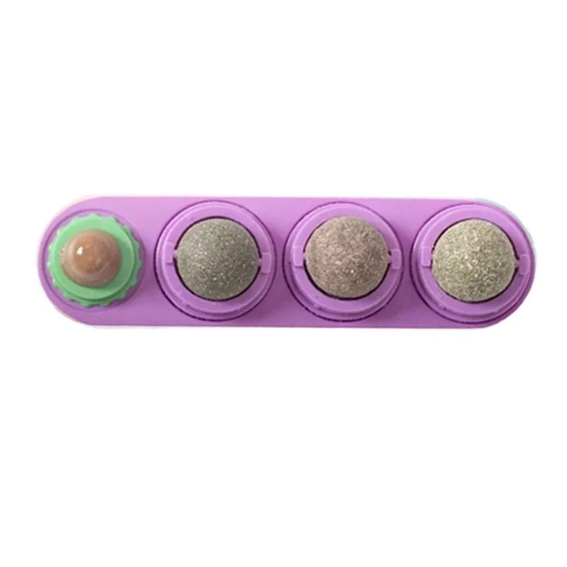 4in1 Rotating Catnip Silver Vine Dental Health Station 12