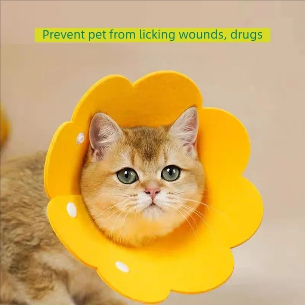 SoftEdge Pet Recovery Cone Surgical Wound Protector 3