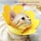 SoftEdge Pet Recovery Cone Surgical Wound Protector 4