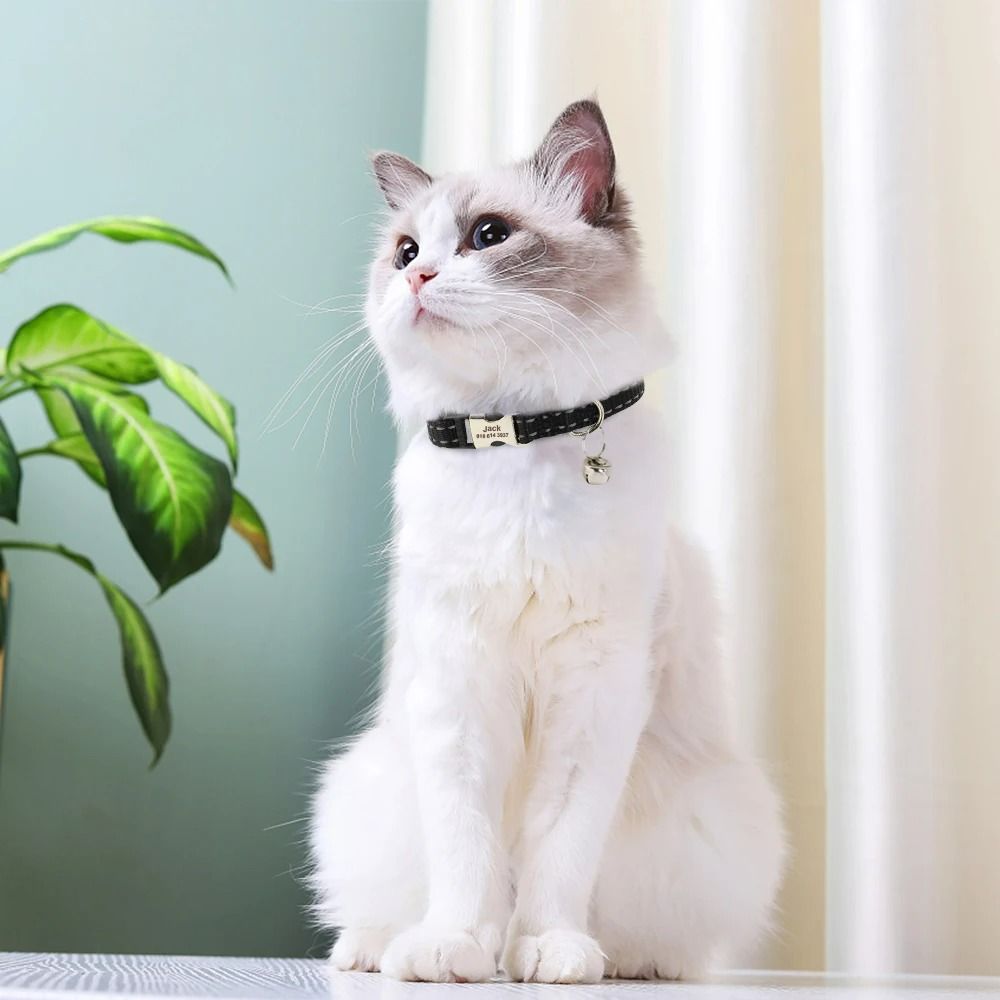 Customized Reflective Safety ID Cat Puppy Collar 4