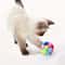 Interactive Plush BellBall Bouncy Pompom Set 4