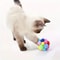 Interactive Plush BellBall Bouncy Pompom Set 4