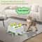 2in1 Smart Interactive WhackAMole Cat Toy 6