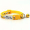Personalized Safety ID Collar With Bell Engraved Plate 10