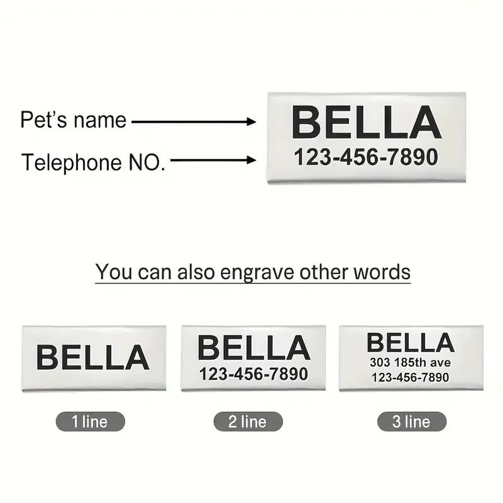 Personalized Safety ID Collar With Bell Engraved Plate 6