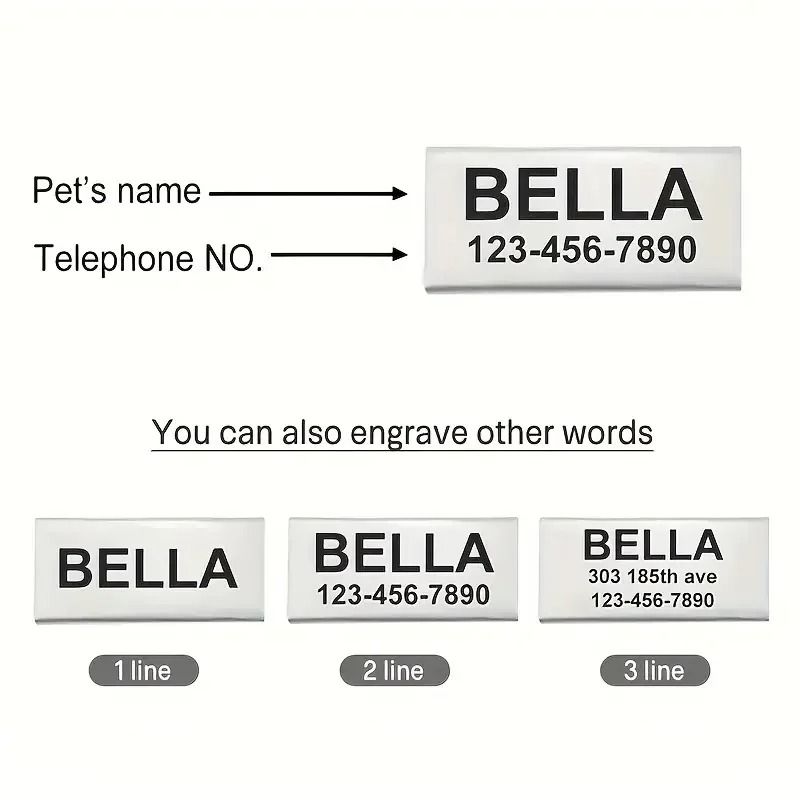 Personalized Safety ID Collar With Bell Engraved Plate 6