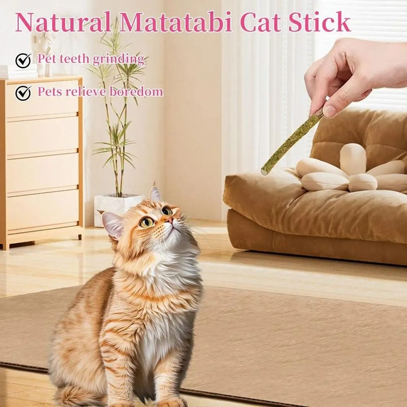 Natural Matatabi And Silvervine Dental Chew Sticks 6Piece Set 2