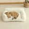 Modern Striped Pet Sofa Bed 8