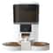 4L Smart Automatic Pet Feeder With HD Camera Voice Recorder 7