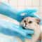 Magic Silicone Pet Bathing Massage Gloves Pair 1