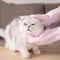 Magic Silicone Pet Bathing Massage Gloves Pair 2
