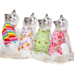post-surgery medical recovery suit for cats