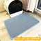 DoubleLayer Honeycomb Litter Trapping Mat 9