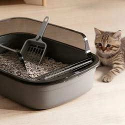 semi-enclosed splashproof high-side litter box