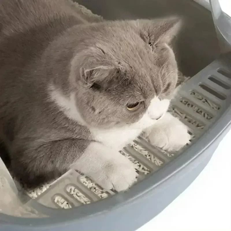 SemiEnclosed Splashproof HighSide Litter Box 4