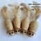 2Pack BiteResistant FeatherTail Mouse Interactive Toys 1