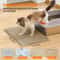 Advanced Honeycomb DoubleLayer Litter Trapping Mat 1