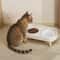 Ergonomic Double Elevated Feeding Station 2