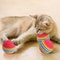 100Piece HighVisibility Rainbow EVA Training Balls 3