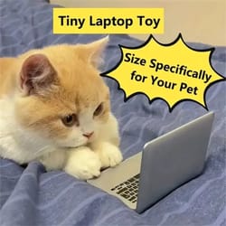 mini interactive "meowbook" toy cat laptop