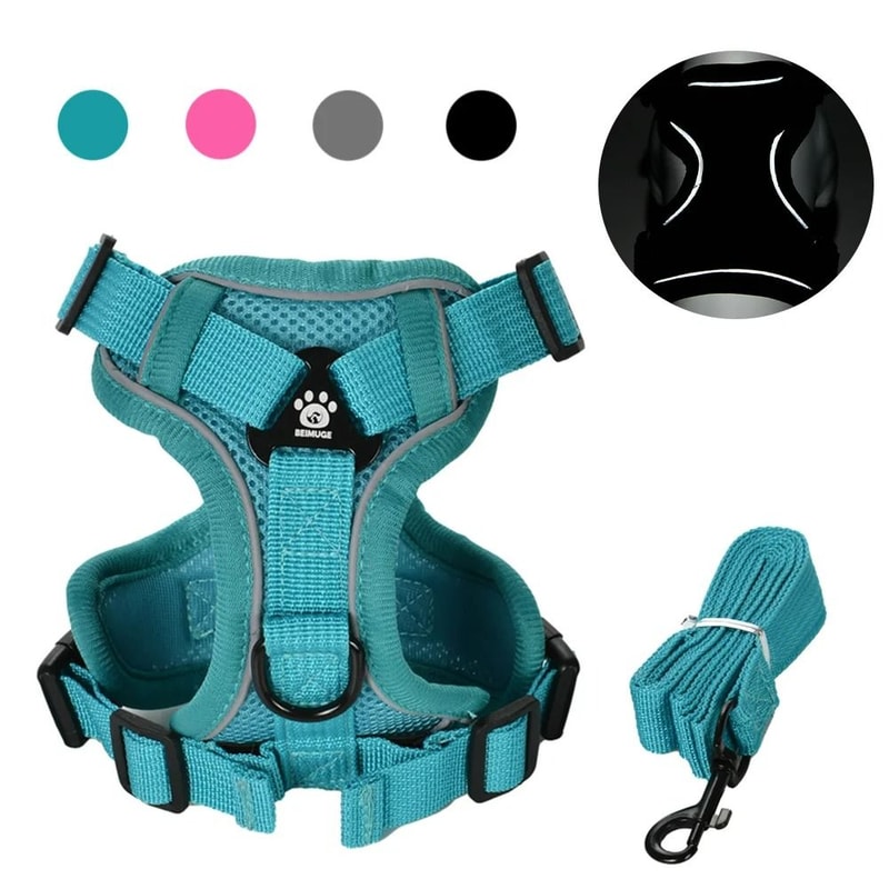 Reflective Breathable Mesh Dog And Cat Harness With Leash Set 0