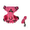 Reflective Breathable Mesh Dog And Cat Harness With Leash Set 9