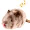 GiGwi Real Sound Series Interactive Bird And Animal Toys For Cats 9