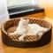 Plush Polka Dot Cat Bed With Support Walls And Padded Cushion 0