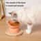 Elevated Tilted Cat Bowls With NonSlip Base AntiVomiting StressFree Feeding Station 2