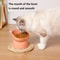 Elevated Tilted Cat Bowls With NonSlip Base AntiVomiting StressFree Feeding Station 2