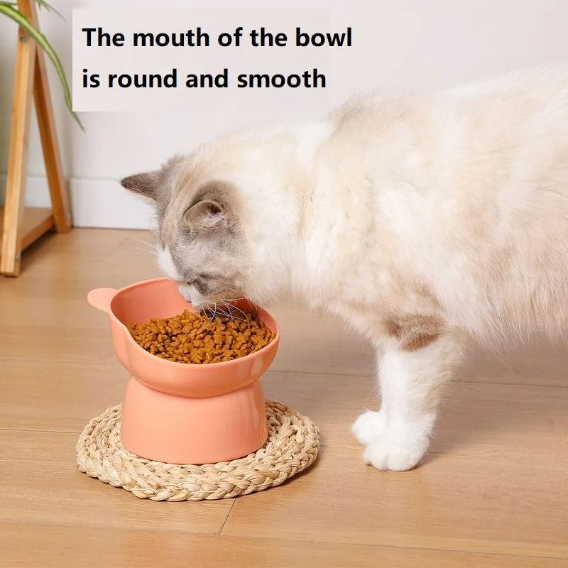 Elevated Tilted Cat Bowls With NonSlip Base AntiVomiting StressFree Feeding Station 2