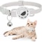 Reflective Pet Collar With Integrated Tracker Holder And Safety Breakaway Buckle 7