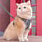 AntiEscape Reflective Mesh Cat Harness And Leash Set 0