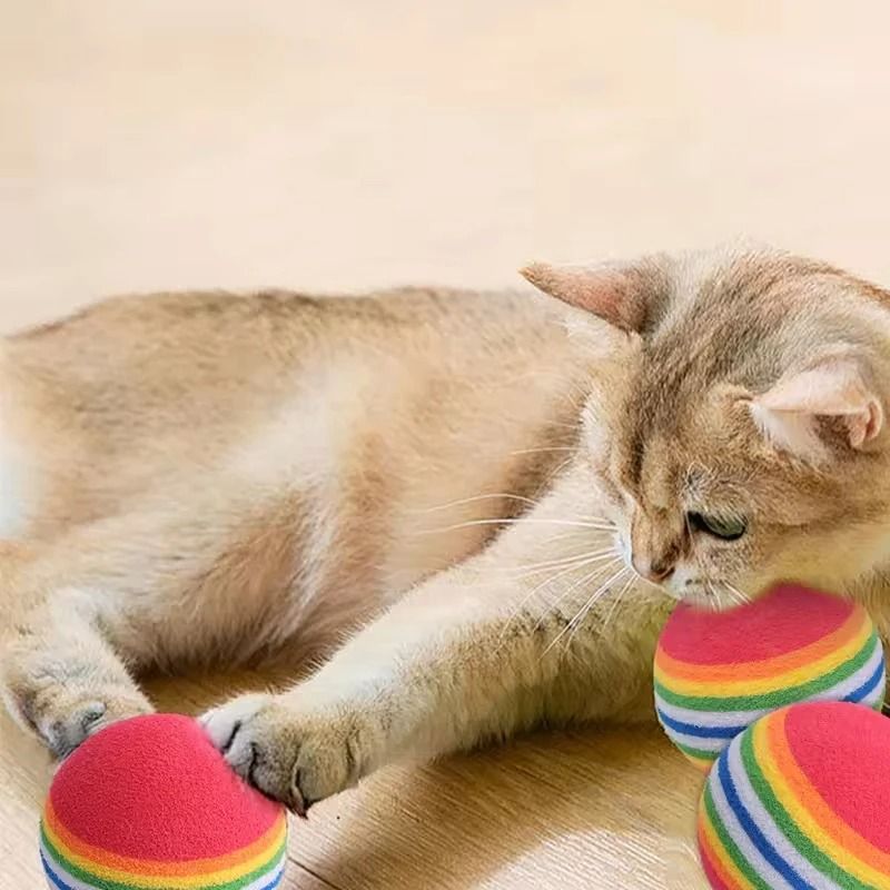 30Piece Rainbow EVA Interactive Training Balls For Cats And Dogs 3