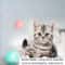 Smart Automatic Rolling Ball Interactive Electric Toy For Indoor Cats 3