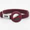 Fashion Airtag Cat Collar With Elastic Safety And Customized ID Tag 18