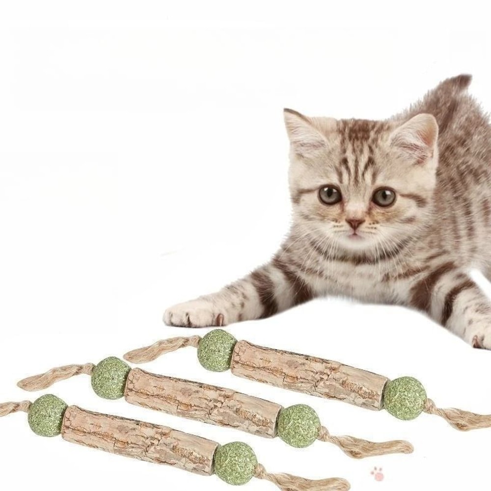 Pure Natural Catnip Molar Stick Interactive Dental Cleaning Toy And Snack 1