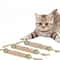 Pure Natural Catnip Molar Stick Interactive Dental Cleaning Toy And Snack 1